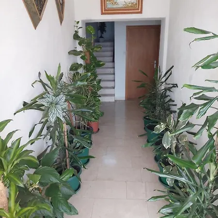 Apartmán Apartment With Nice View Jesenice (Split-Dalmatia)